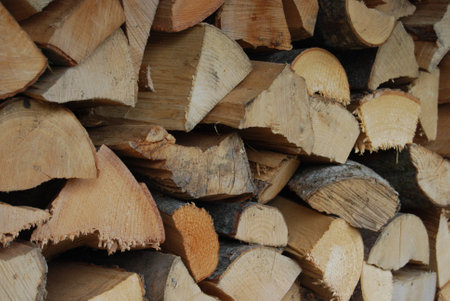 Stack of Wood