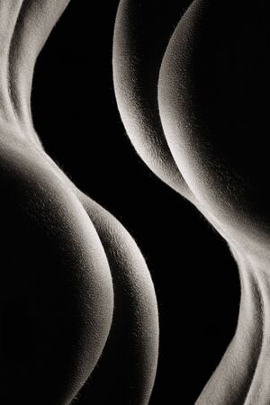 Two symmetrical parts of the bodyの写真素材