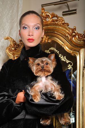 Young woman holding yorkshire terrier in her handsの写真素材