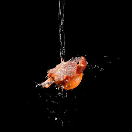 Grapefruit splashed with waterの写真素材