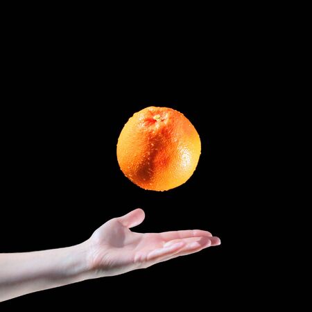 Hand catching grapefruitの写真素材