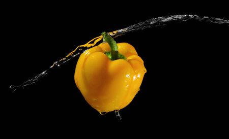 Yellow pepper in water streamの写真素材