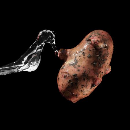 Red potato and water streamの写真素材