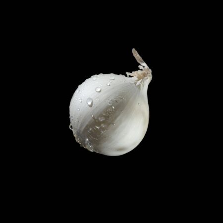 White onion on black backgroundの写真素材