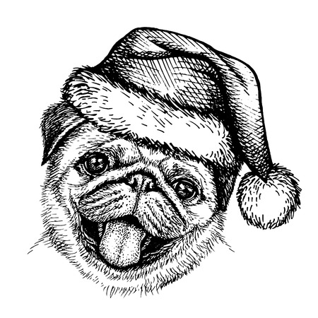 Sketch dog in Santa Claus hat illustration.のイラスト素材