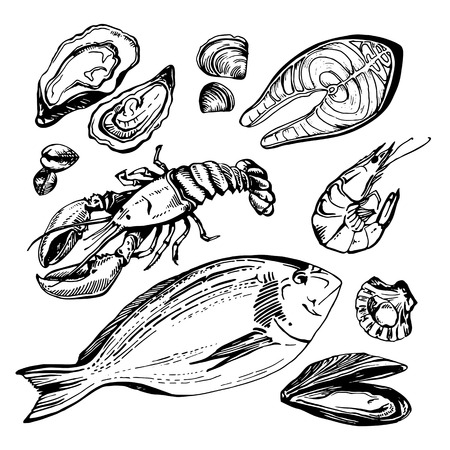 Hand drawn sketch set of seafood. Vector illustration.のイラスト素材