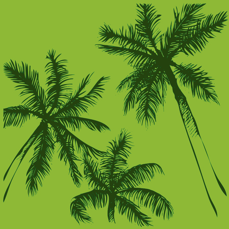 Tropical vector background. Hand painted illustration. Hand drawn palm tree silhouette.のイラスト素材