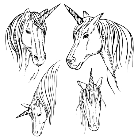 Sketch Unicorn, hand drawn ink illustration.Unicorn horse animal.White mythical horse head with long horn. Mythic symbol of fantasy horseのイラスト素材