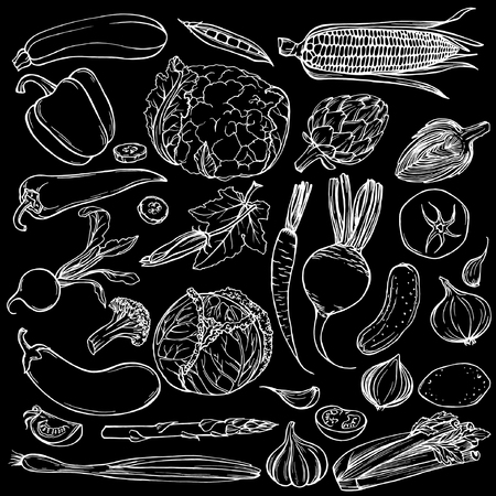 Hand drawn ink sketch. Set of various vegetables. Sketches of different food. Isolated on blackのイラスト素材