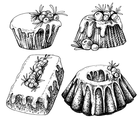 Hand drawn sketch of traditional x-mas food, cake. Christmas illustration with traditional pudding. Christmas cake with sugar icing, cranberries and rosemary.のイラスト素材
