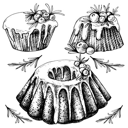 Hand drawn sketch of Traditional x-mas food, cake. Christmas illustration with traditional pudding. Christmas mini cake with sugar icing, cranberries and rosemaryのイラスト素材
