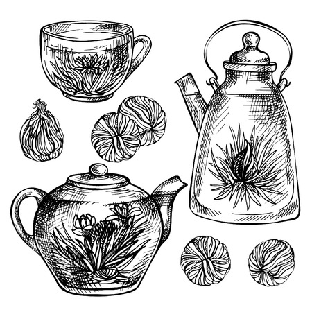 Sketch hand drawn Tea set. Blooming green tea with flowers in glass teapot, glass cup.  Exotic Blooming teaのイラスト素材