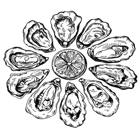 Hand drawn sketch oyster set. Sketch illustration of fresh seafood. Isolated on white background.のイラスト素材