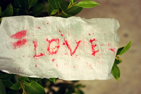 paper word love or love to writeの写真素材