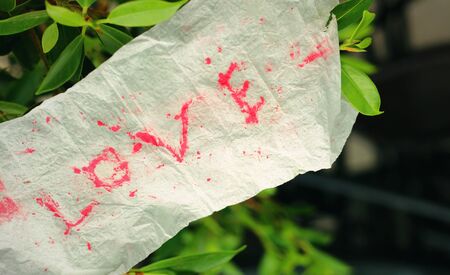 paper word love or love to writeの写真素材