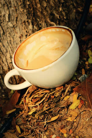 Hot coffeeの写真素材