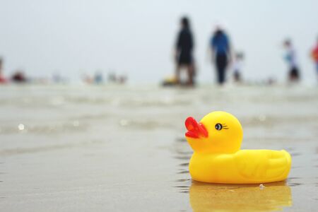 rubber duck on the sea and beachの写真素材