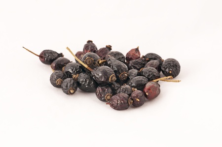 dried frits of rosehip bushes on a white backgroundの写真素材