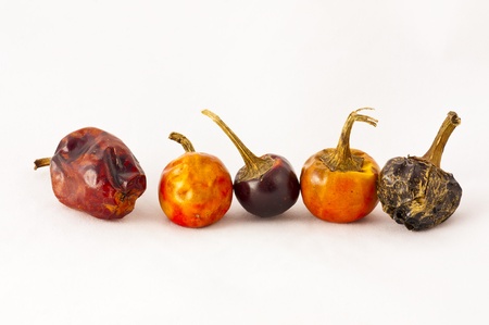 Colorful dried chili peppers on a white background