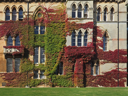 ivy covered college buildingのeditorial素材