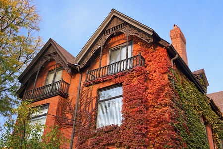 house with colorful ivy in fallのeditorial素材