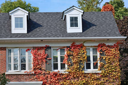 Traditional two story brick house with ivy in fall colorsの写真素材