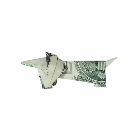 Money Origami Dachshund DOG Folded with Real One Dollar Bill Isolated on White Backgroundの写真素材