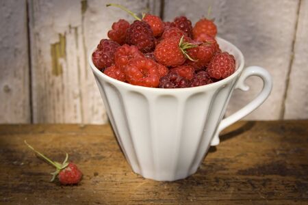 Just picked fresh garden raspberries in white cup.の写真素材