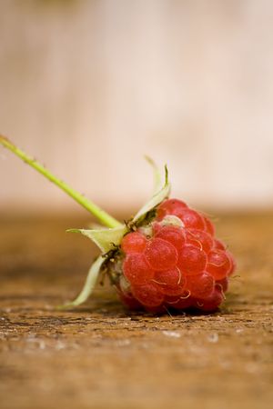 A single raspberry on the garden table