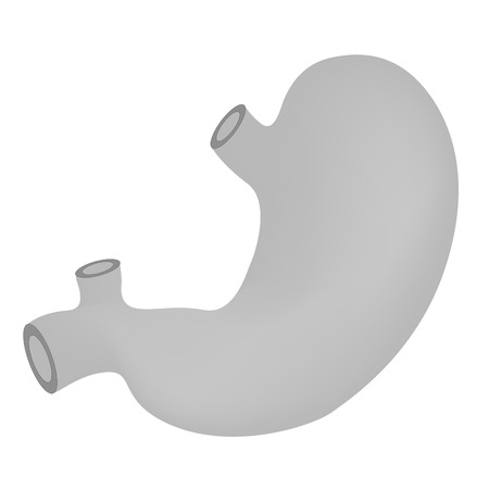 vector illustration of stomachのイラスト素材
