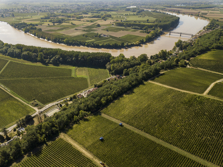 Aerial view Bordeaux Vineyard at sunrise, Entre deux mers, Langoiran, Gironde, Franceの写真素材