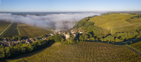 Aerial view Bordeaux Vineyard at sunrise, Entre deux mers, Langoiran, Gironde, France