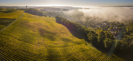 Aerial view Bordeaux Vineyard at sunrise, Entre deux mers, Langoiran, Gironde, Franceの写真素材