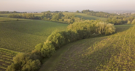 Bordeaux vineyards, Entre Deux Mers, Aquitaine area of the Gironde department Aerial View, Franceの写真素材