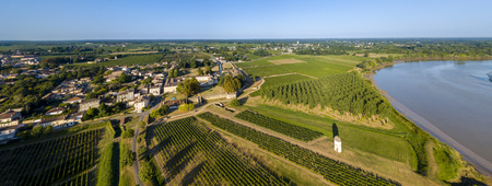Aerial view bordeaux vineyard, landscape vineyard south west of france, europe
