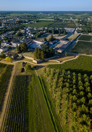 Aerial view bordeaux vineyard, landscape vineyard south west of france, europeの写真素材