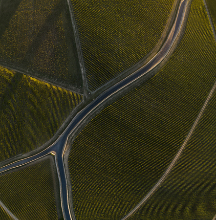 Aerial View Bordeaux vineyards, Saint-Emilion, Aquitaine area of the Gironde department, France, Europe,の写真素材