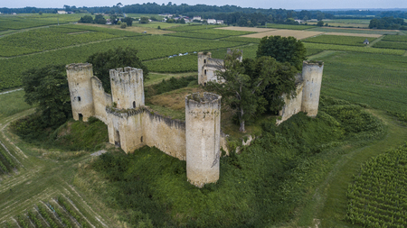 Aerial view Chateau de Budos and wheat field in summer , Bordeaux, Gironde, Aquitaine, Franceの写真素材