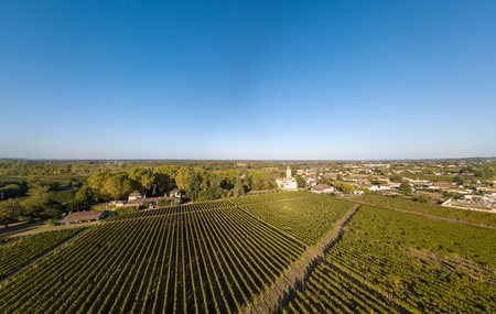 Aerial view Vineyards in the sunshine, Vineyards of Loupiac, Bordeaux Vineyards, Franceの写真素材