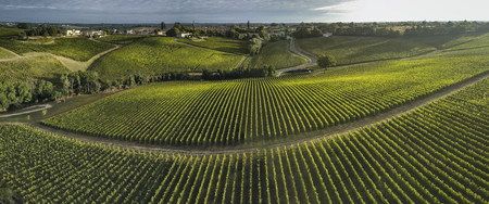 Aerial view Bordeaux Vineyard at sunrise,film by drone in summer, Entre deux mers, Langoiran