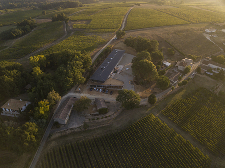Sunset landscape bordeaux wineyard france, europe, Natureの写真素材