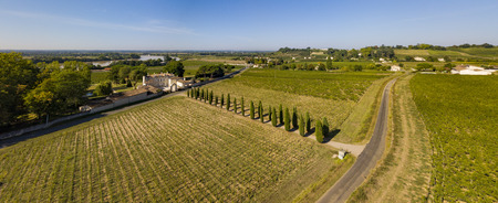 Aerial wiev Fronsac Vineyard landscape, Vineyard south west of France, Europe