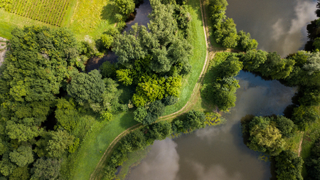Aerial View of Ciron Rainforest, Gironde, Franceの写真素材