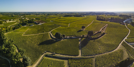 Aerial View Bordeaux vineyards, Saint-Emilion, Aquitaine area of the Gironde department, France, Europe.の写真素材