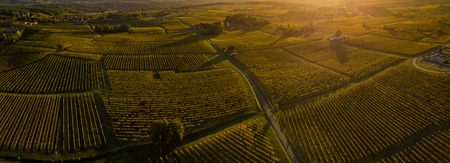 Sunset landscape and smog in bordeaux wineyard, Gironde, france, europeの写真素材