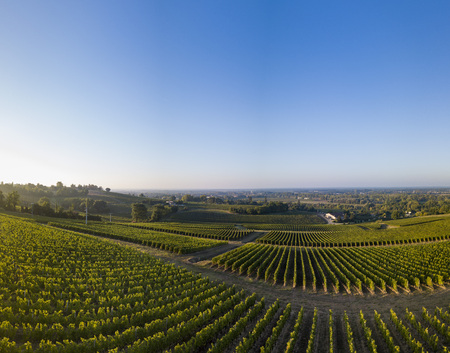 Sunset landscape bordeaux wineyard france, europe, Nature