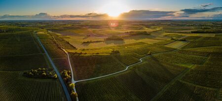 France, Charente, Lanzac, Vue aerienne du vignoble de Cognac