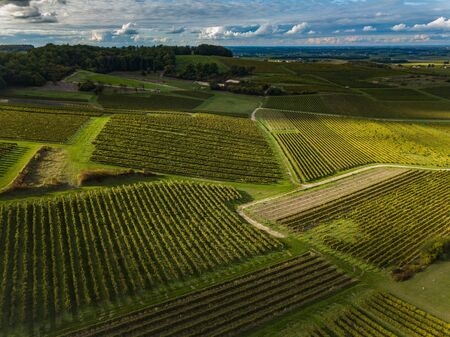 France, Charente, Saint Preuil, Vue aerienne du vignoble de Cognac
