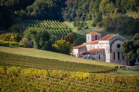 France, Charente, Bouteville, Cognac vineyard, village and Saint Paul Church