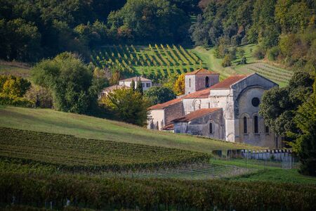 France, Charente, Bouteville, Cognac vineyard, village and Saint Paul Churchの写真素材